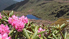 Phajoding Monastery